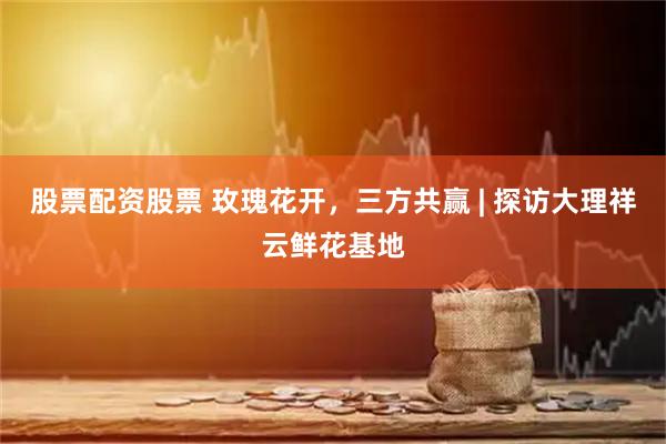 股票配资股票 玫瑰花开，三方共赢 | 探访大理祥云鲜花基地